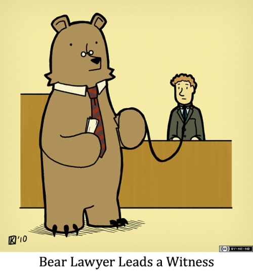 Bear Lawyer Leads a Witness