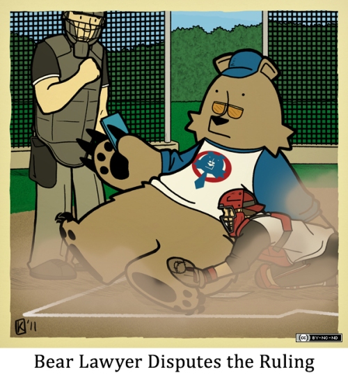 Bear Lawyer Disputes the Ruling