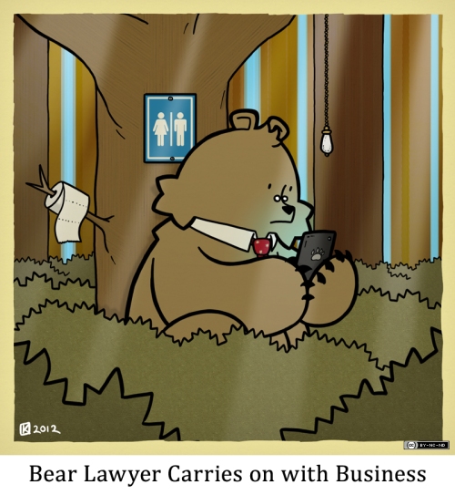 Bear Lawyer Carries on with Business