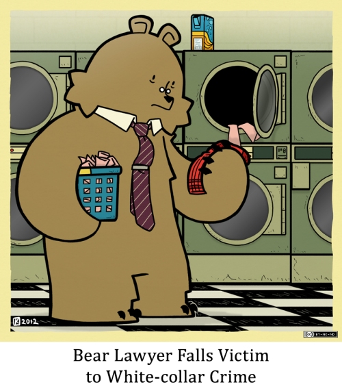 Bear Lawyer Falls Victim to White-collar Crime