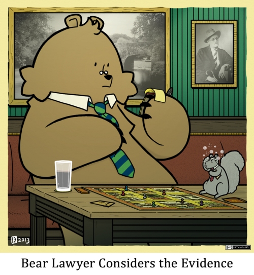 Bear Lawyer Considers the Evidence